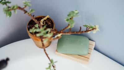 Schmidt's Bergamot+Lime bar soap on the corner of a white tub next to a green plant
